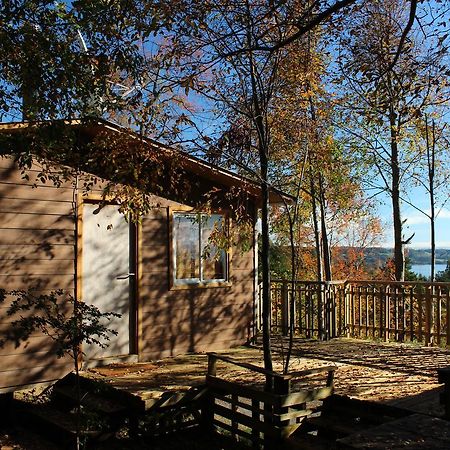 Cabanas Mas Ke Miel Población Lago Ranco Exterior foto
